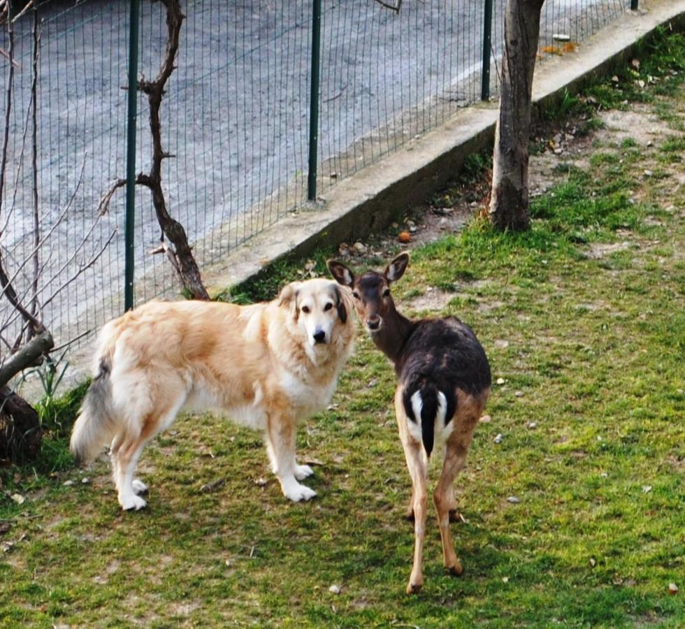 Segni e Impronta Bed and Breakfast Finale Ligure Esterno foto