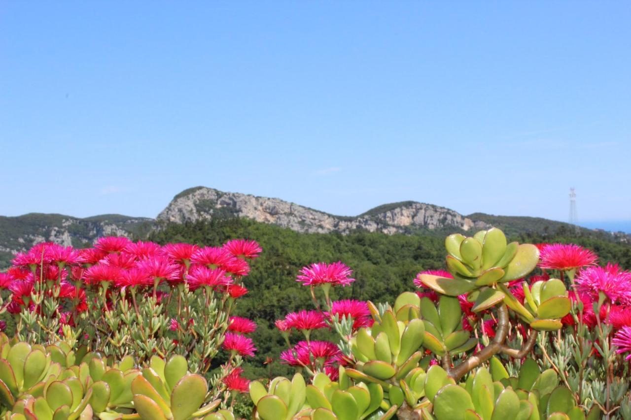 Segni e Impronta Bed and Breakfast Finale Ligure Esterno foto