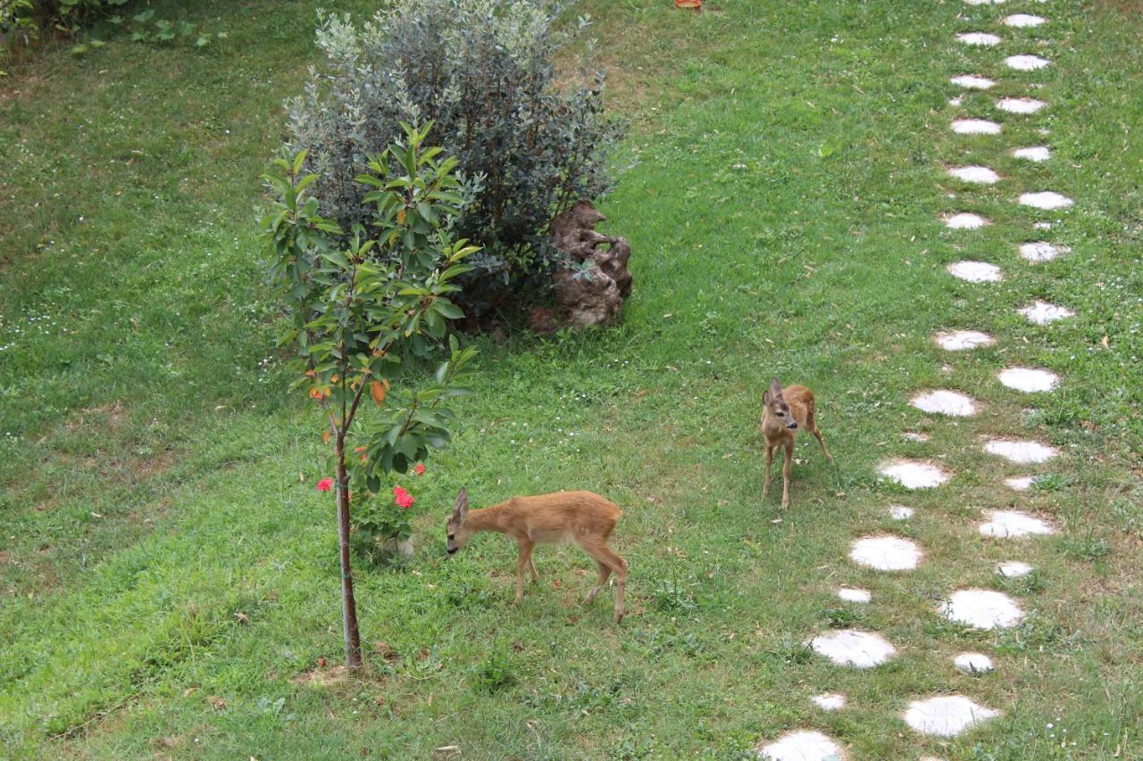 Segni e Impronta Bed and Breakfast Finale Ligure Esterno foto