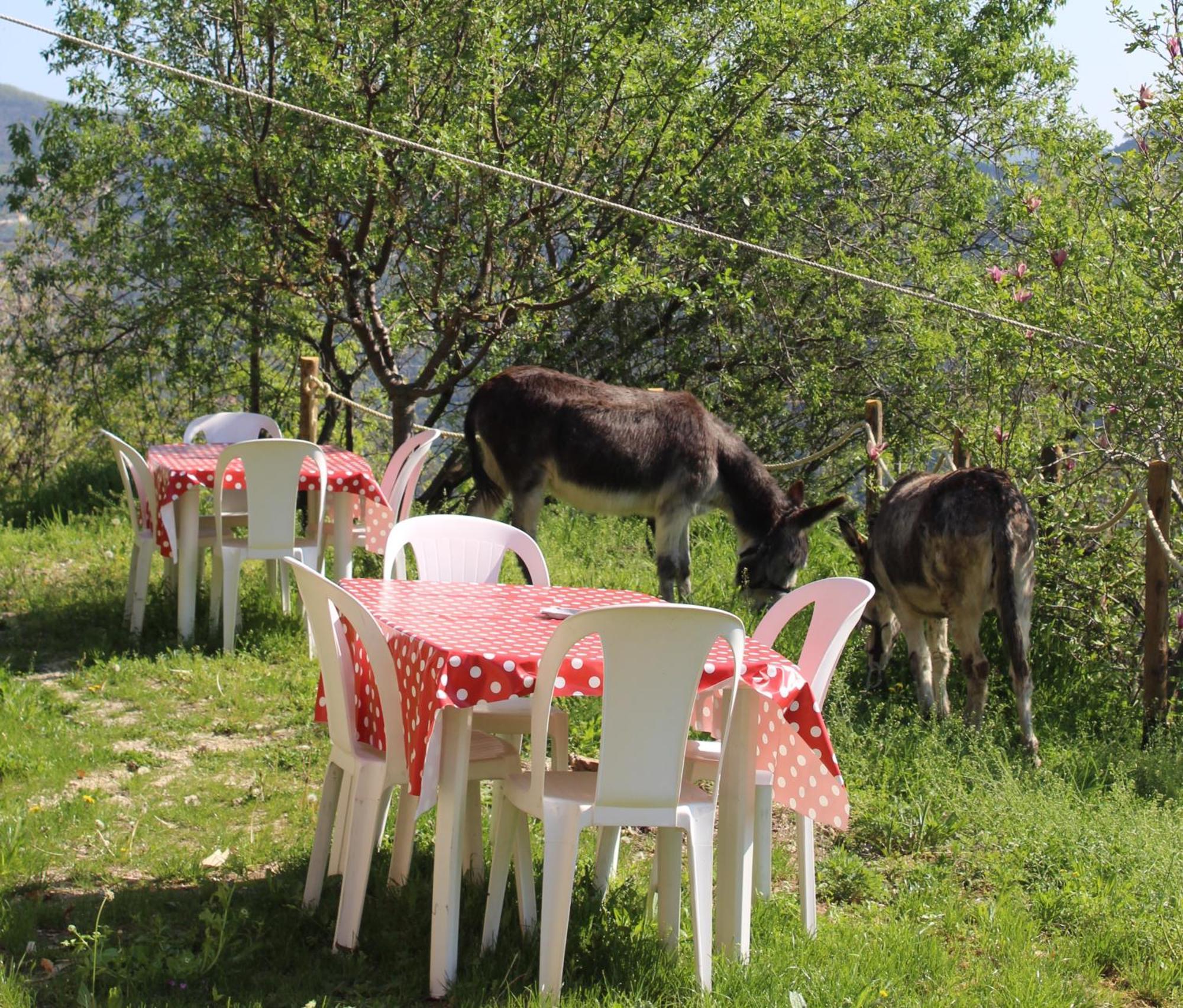 Segni e Impronta Bed and Breakfast Finale Ligure Esterno foto